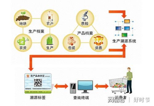 健康新方向 紅軍山藥面，信息管理服務(wù)賦能餐飲新體驗(yàn)